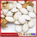 Hot Sale 2021 Snow White Pumpkin Seeds